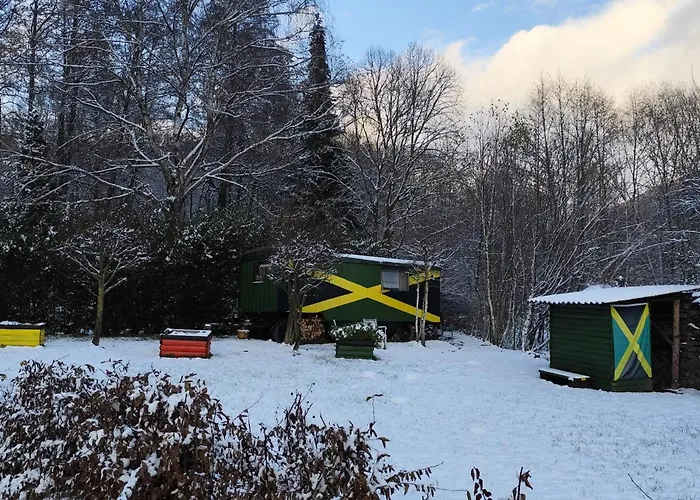 Maringotka Na Jamajce
